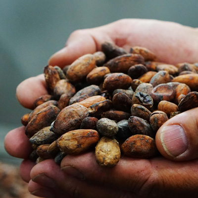 elah-dufour-novi-slider-0