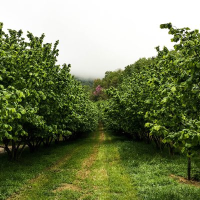 elah-dufour-novi-slider-1